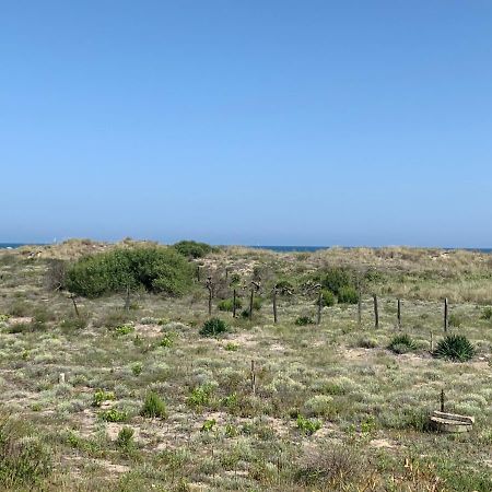 Mon Petit Paradis, Vue Sur Dunes Et Mer, Acces Direct Plage Robinson, Terrasse, Parking Prive, Tres Ressourcant, A Marseillan Plage Esterno foto