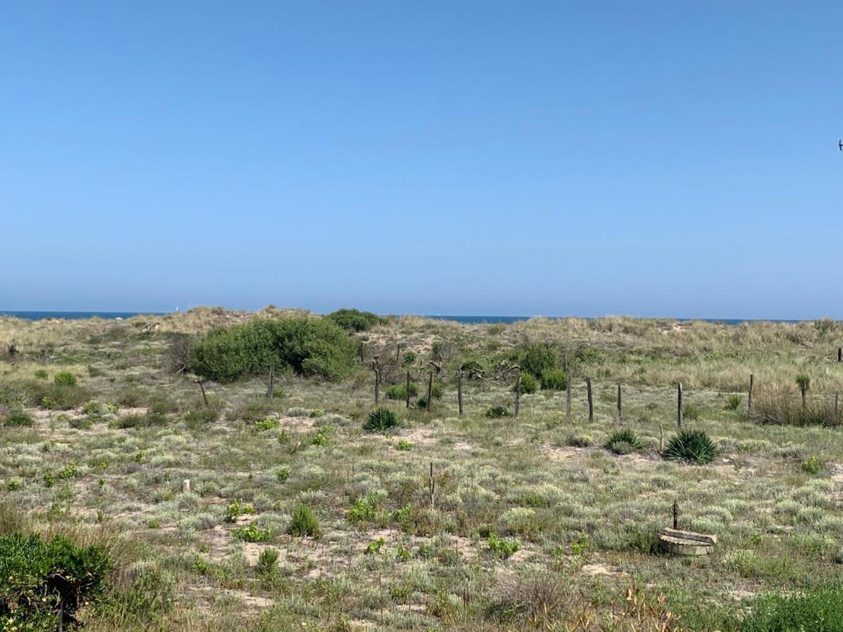 Mon Petit Paradis, Vue Sur Dunes Et Mer, Acces Direct Plage Robinson, Terrasse, Parking Prive, Tres Ressourcant, A Marseillan Plage Esterno foto